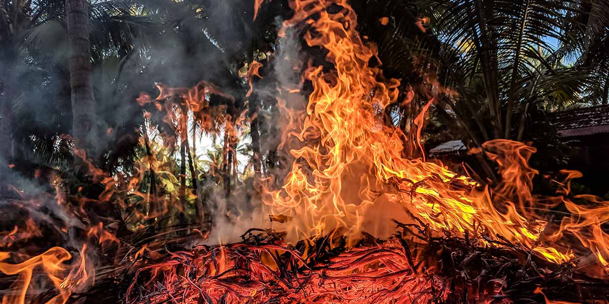 Cile: incendi fuori controllo